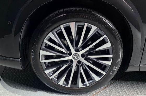 Lexus RX Luxury — пробег 21 600 км — фото 5 из 5