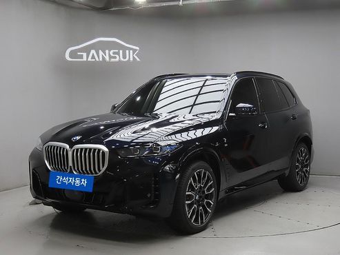 BMW X5 xDrive 40i M Sport — пробег 257 км — фото 2 из 5