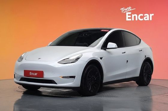 Tesla Model Y Long Range AWD — пробег 90 171 км — фото 1 из 5