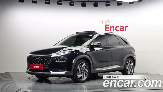 Hyundai Nexo Premium — пробег 154 972 км — фото 1 из 5