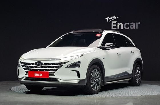 Hyundai Nexo Premium — пробег 175 384 км — фото 1 из 5