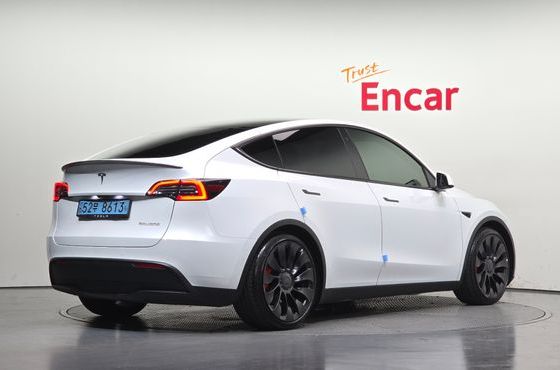 Tesla Model Y Performance AWD — пробег 109 186 км — фото 2 из 5