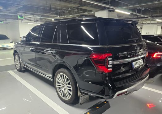 Ford Expedition Platinum 4WD 8Seater — пробег 50 800 км — фото 4 из 5