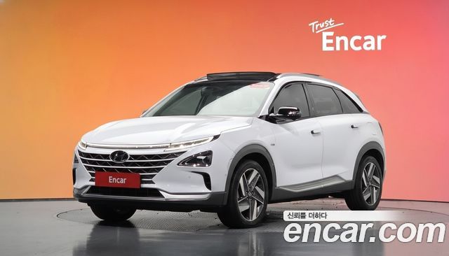 Hyundai Nexo Premium — пробег 85 553 км — фото 1 из 5