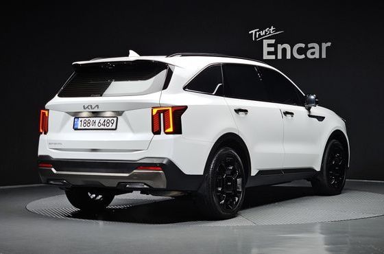 Kia Sorento Gasoline 2.5T 2WD Gravity — пробег 30 216 км — фото 2 из 5
