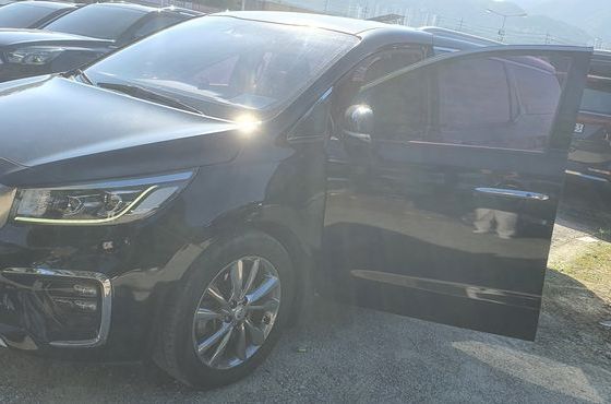 Kia Carnival 7-Seater Limousine VIP — пробег 93 793 км — фото 3 из 5
