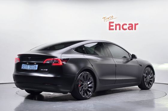 Tesla Model 3 Performance AWD — пробег 52 046 км — фото 2 из 5