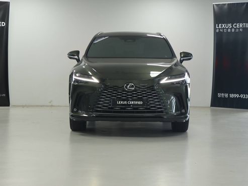 Lexus RX Luxury — пробег 22 000 км — фото 3 из 5