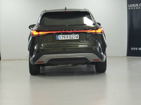 Lexus RX Luxury — пробег 22 000 км — фото 4 из 5