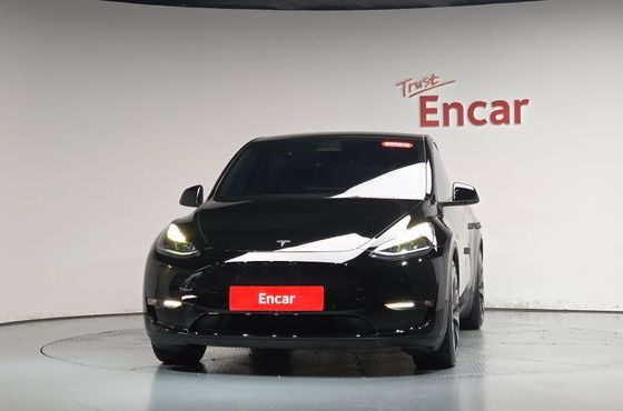 Tesla Model Y Performance AWD — пробег 80 945 км — фото 3 из 5