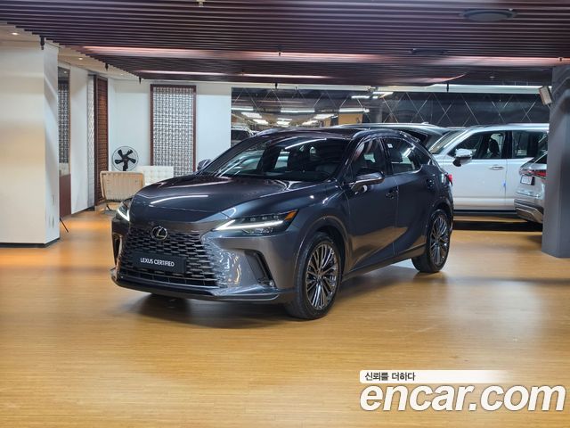 Lexus RX Luxury — пробег 2 591 км — фото 1 из 5