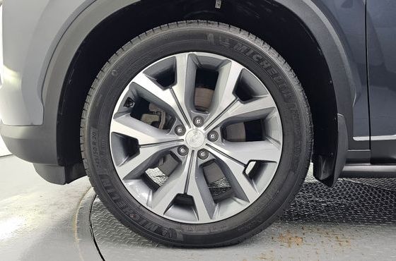 Hyundai Palisade Diesel 2.2 2WD Prestige — пробег 48 068 км — фото 5 из 5
