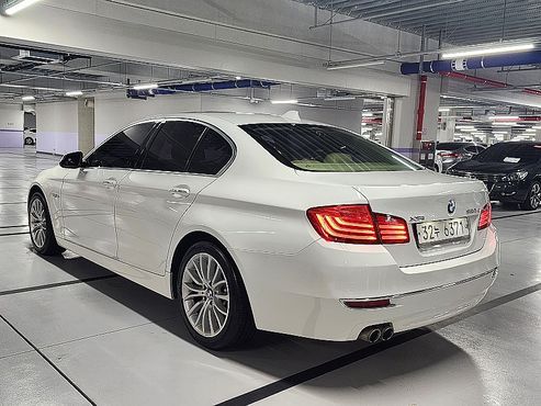 BMW 5-Series 520d xDrive Luxury — пробег 166 558 км — фото 3 из 5