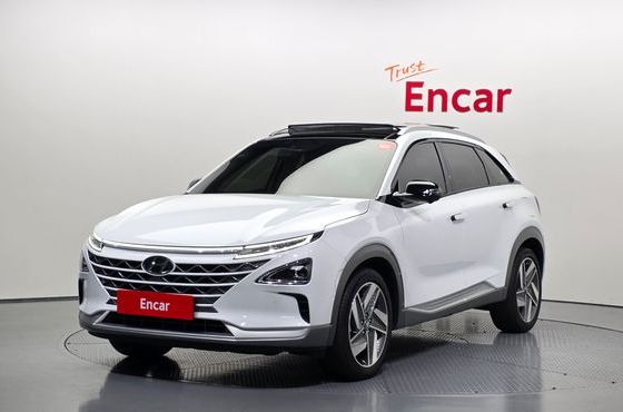 Hyundai Nexo Premium — пробег 41 352 км — фото 1 из 5