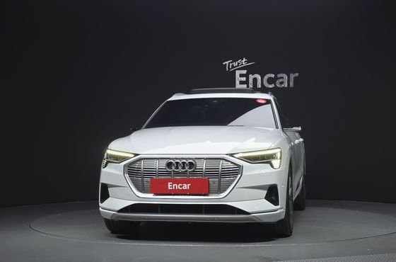 Audi e-tron 55 Quattro — пробег 183 143 км — фото 3 из 5
