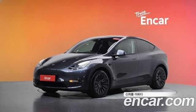 Tesla Model Y Long Range AWD — пробег 146 696 км — фото 1 из 5