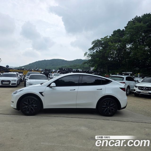 Tesla Model Y из Кореи Encar