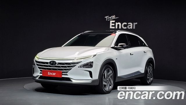 Hyundai Nexo Premium — пробег 56 973 км — фото 1 из 5