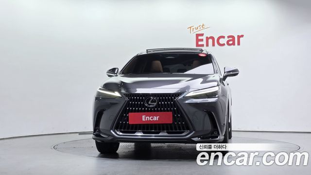 Lexus NX Luxury — пробег 55 501 км — фото 3 из 5