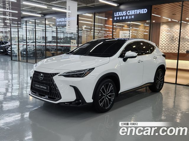 Lexus NX Luxury — пробег 2 840 км — фото 1 из 5
