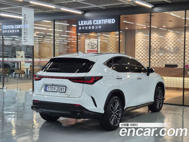 Lexus NX Luxury — пробег 4 144 км — фото 2 из 5