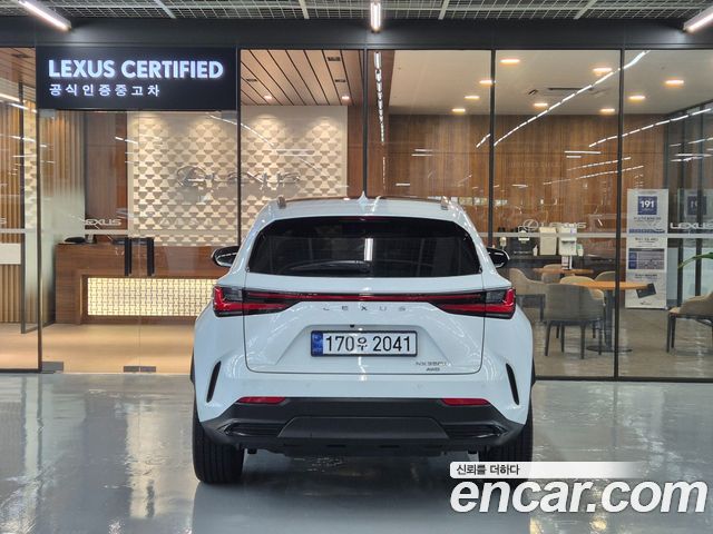 Lexus NX Luxury — пробег 4 144 км — фото 4 из 5