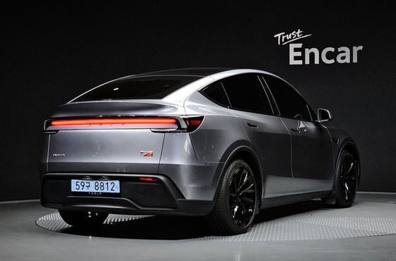 Tesla Model Y Long Range Launch Edition AWD — пробег 28 096 км — фото 2 из 5