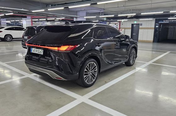 Lexus RX Luxury — пробег 20 км — фото 4 из 5