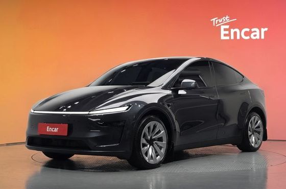 Tesla Model Y Long Range AWD — пробег 35 024 км — фото 1 из 5