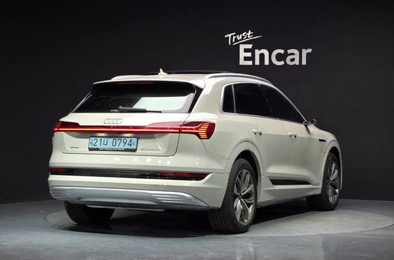 Audi e-tron 55 Quattro — пробег 269 877 км — фото 2 из 5