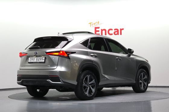 Lexus NX Supreme — пробег 78 061 км — фото 2 из 5